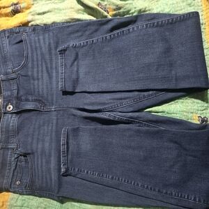 Torrid Premium Blue Denim Jeans